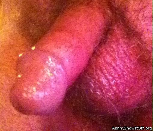 Adult image from Arinn