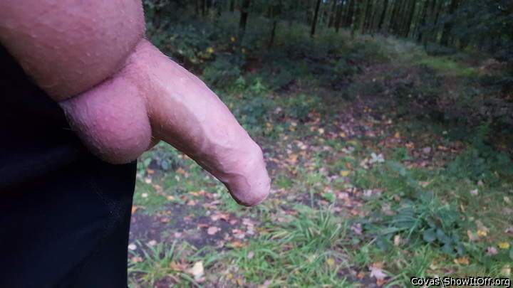 Adult image from covas