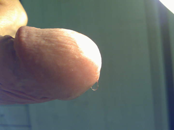 Adult image from roccotano