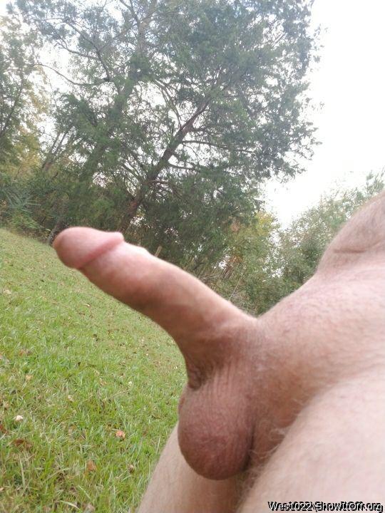 Adult image from Wes1022