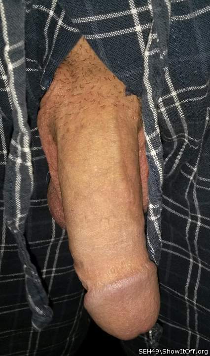 Adult image from SEH49