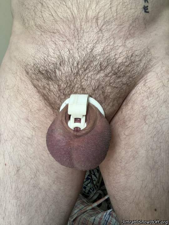 Adult image from Jimratt