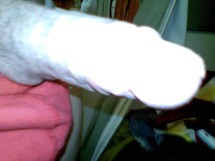 Adult image from 450