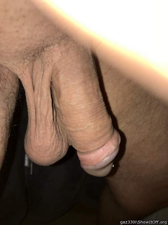 Adult image from gaz330i