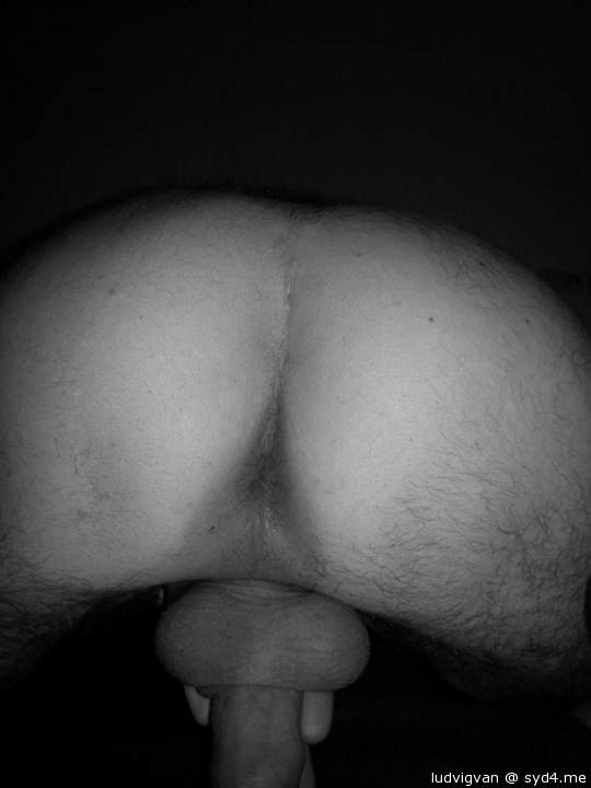 Adult image from ludvigvan