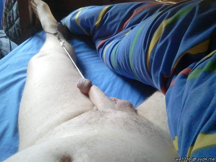 Adult image from we3236