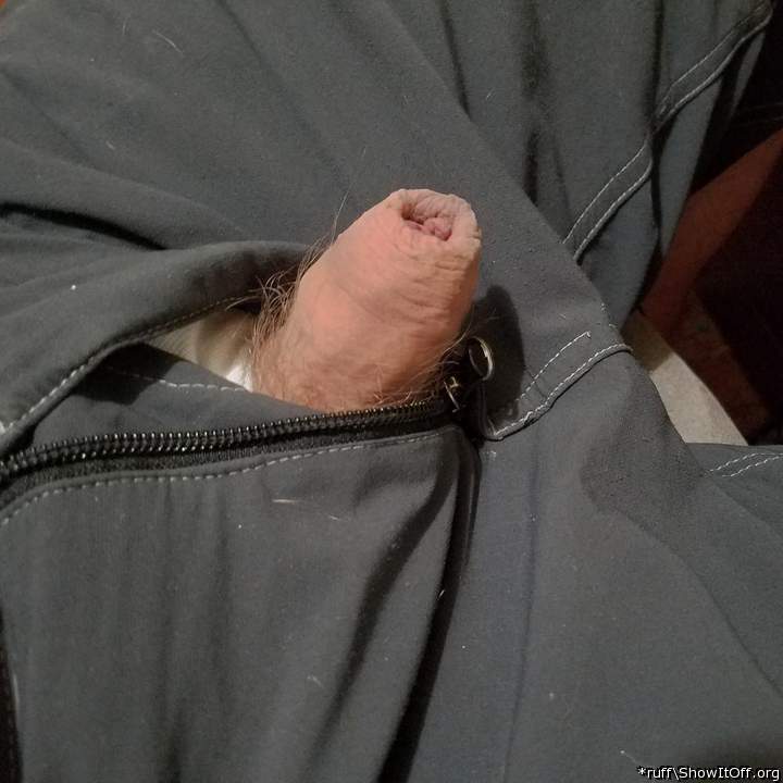 Adult image from *ruff