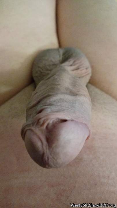 Adult image from Westy69
