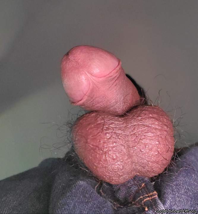 Adult image from king96