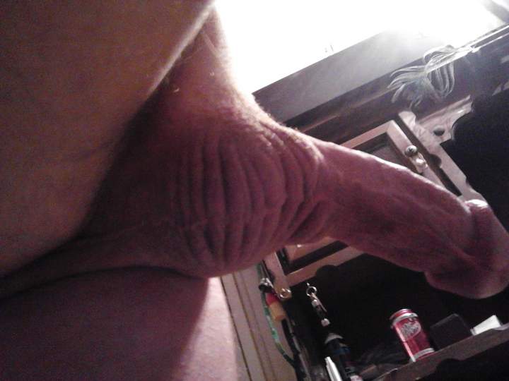 Adult image from fish4free