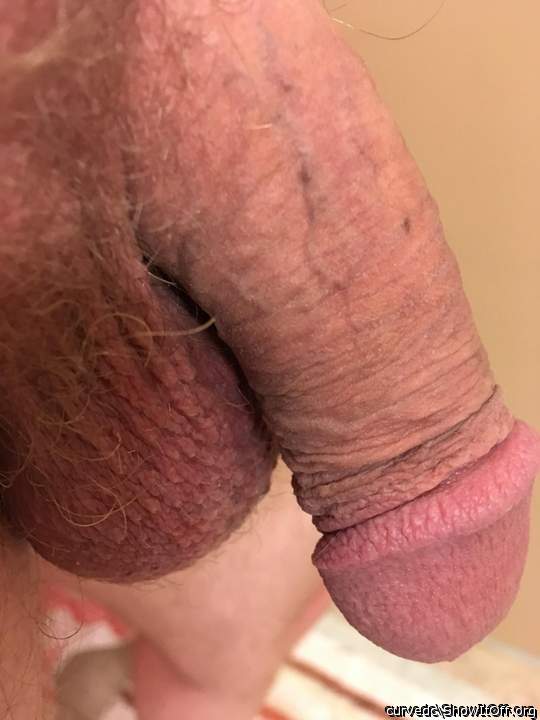 Adult image from Curvedc