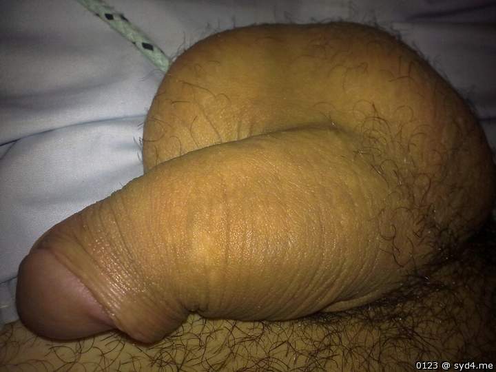 Adult image from 0123