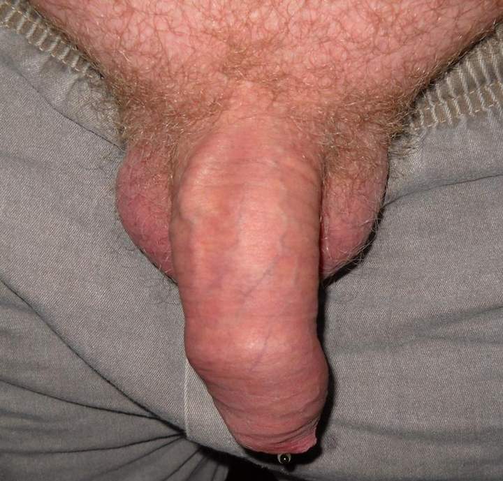 Adult image from Sharkie