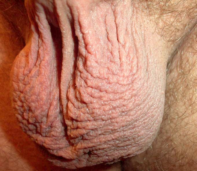 Adult image from lilsoftee