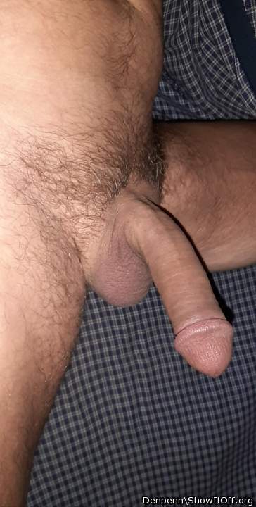 Adult image from Denpenn