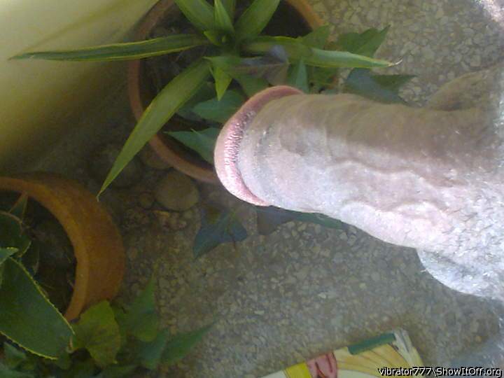 Adult image from vibrator777
