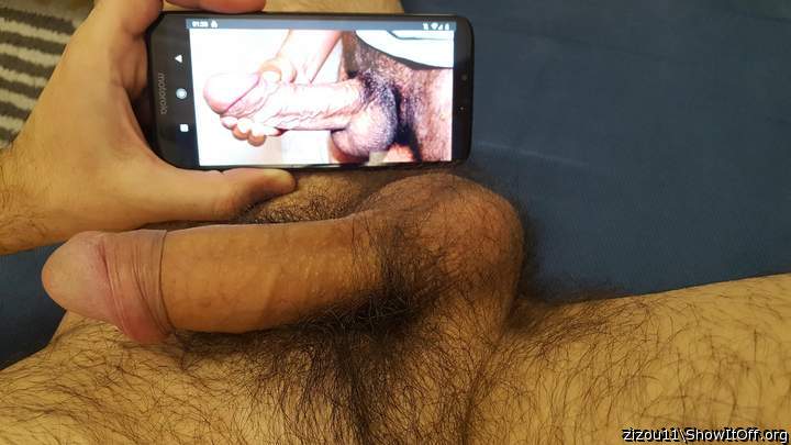 Adult image from zizou11