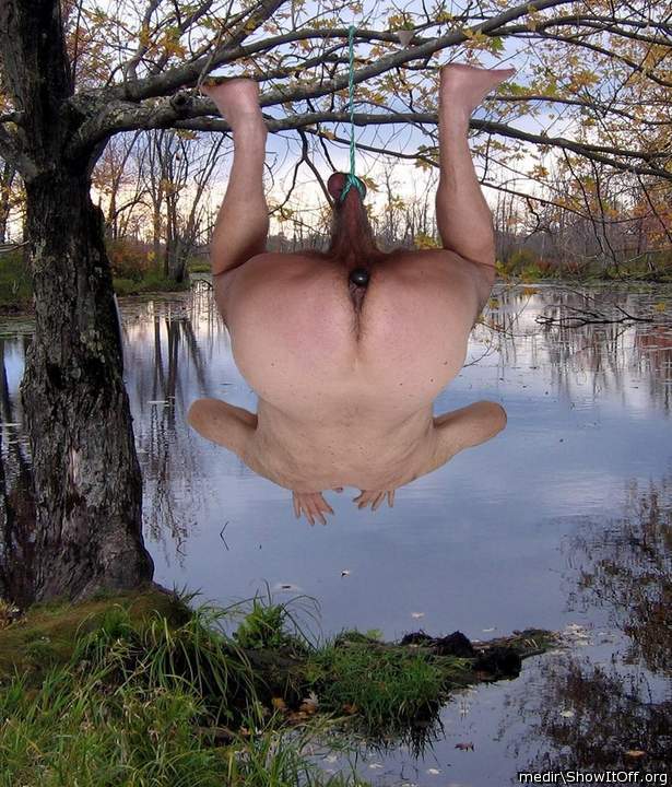 Adult image from medir