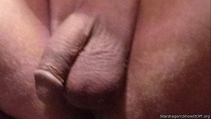 Adult image from stardragon