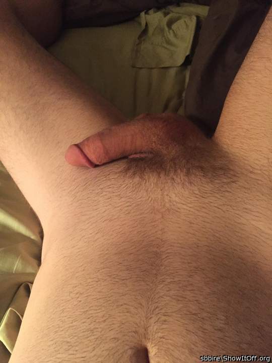 Adult image from sbbire