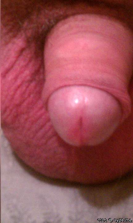 Adult image from c1b1
