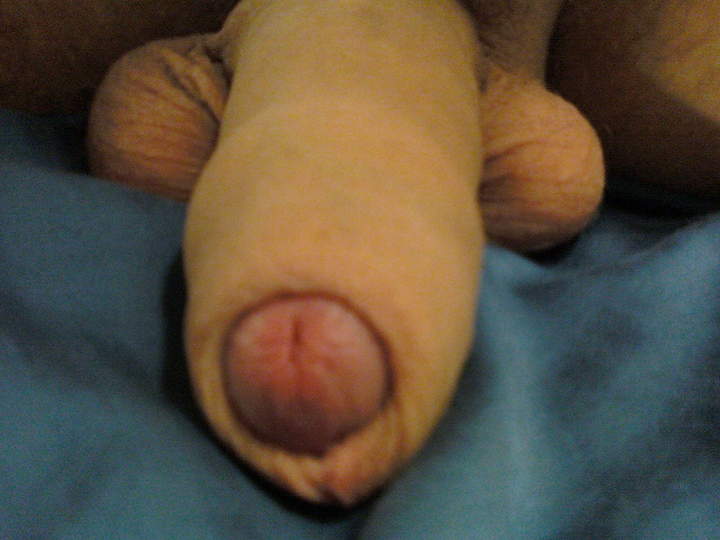 very nice penis i like it
