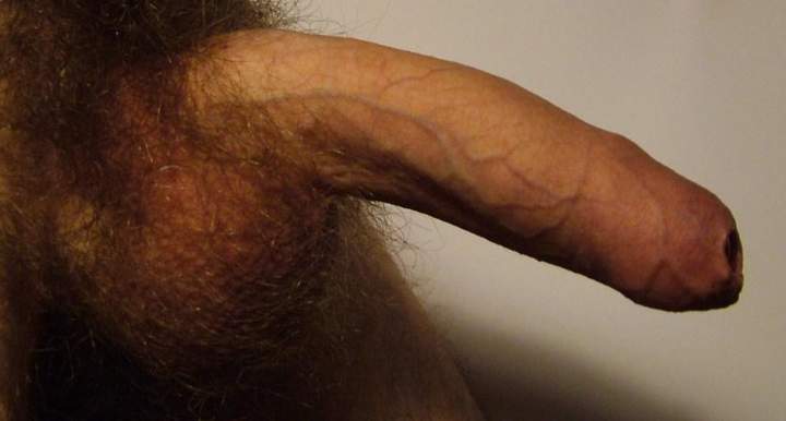 Adult image from vtbartje