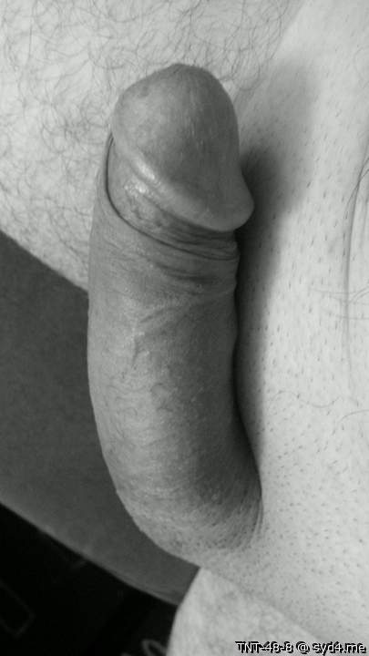 Adult image from TNT-48-8