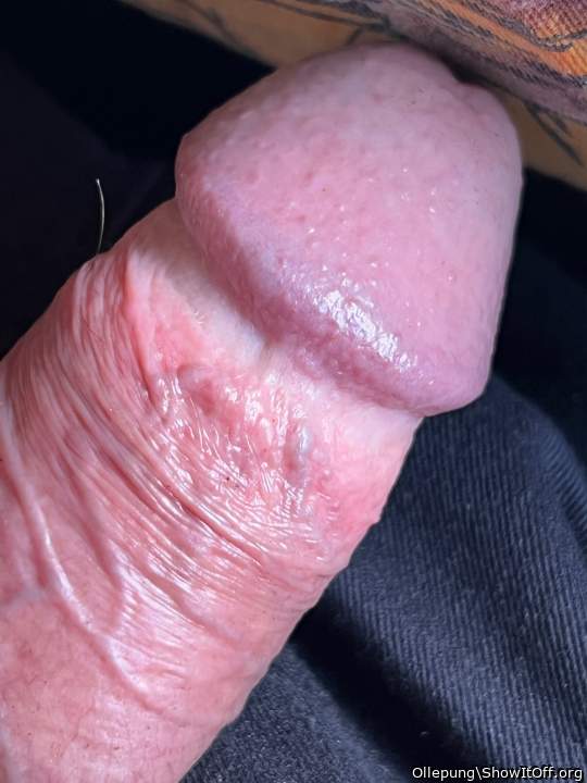 Adult image from Ollepung