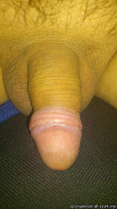 Adult image from spongeknob