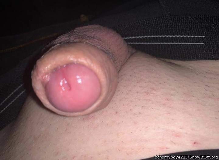 Adult image from dchornyboy4223