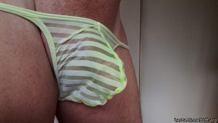 Adult image from Bertie