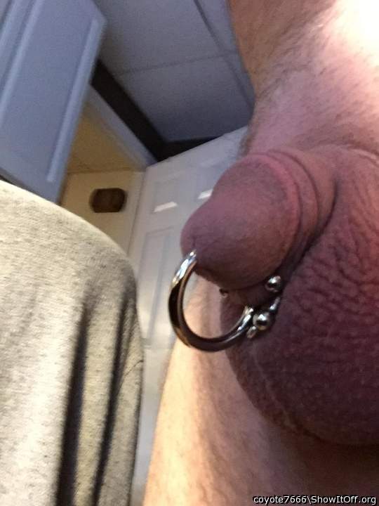 Adult image from coyote7666
