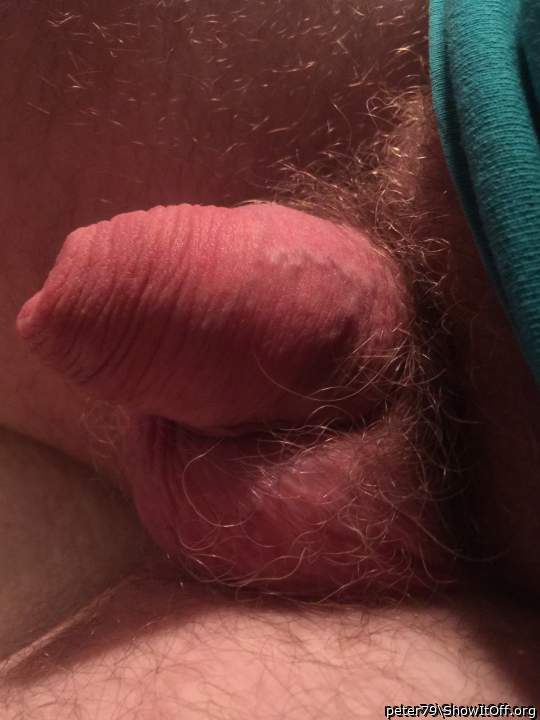 Adult image from peter79