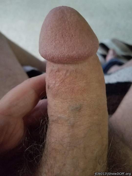Adult image from jt36013