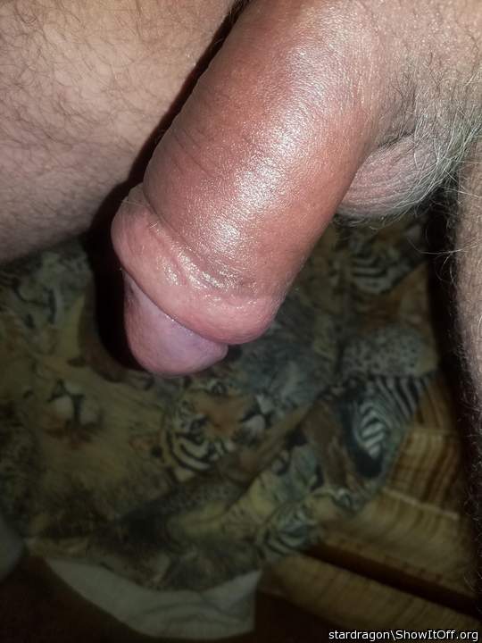 Adult image from stardragon