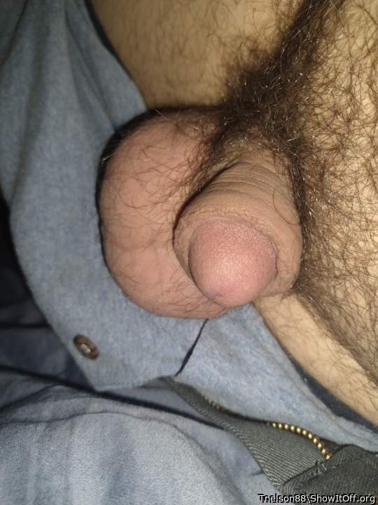 Adult image from Tnelson88