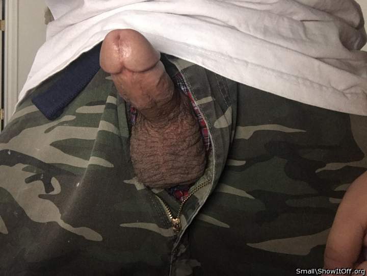 Adult image from Small