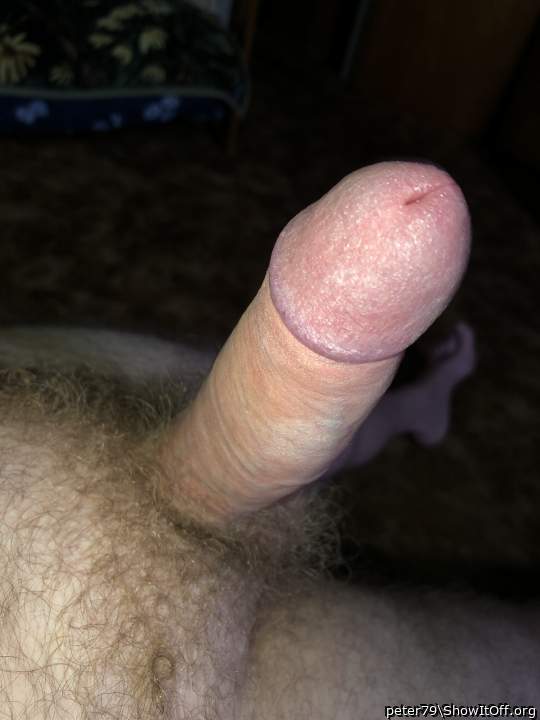 Adult image from peter79