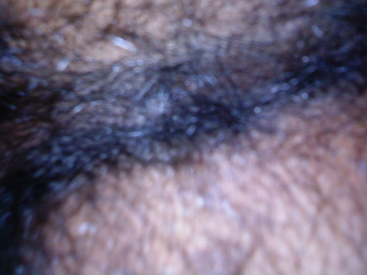 Adult image from nicedices