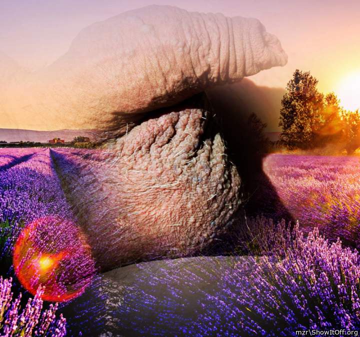 All those foreskin wrinkles very nice! Art