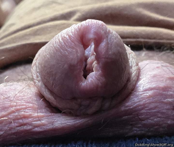 gaping penis