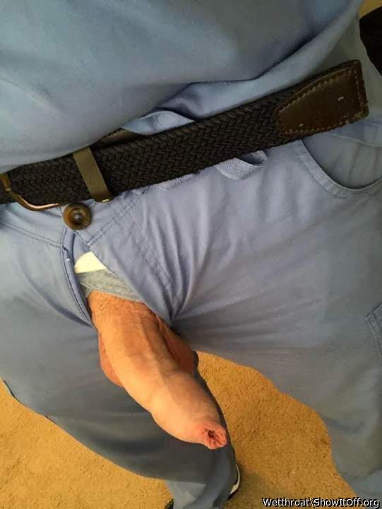 Adult image from Wetthroat