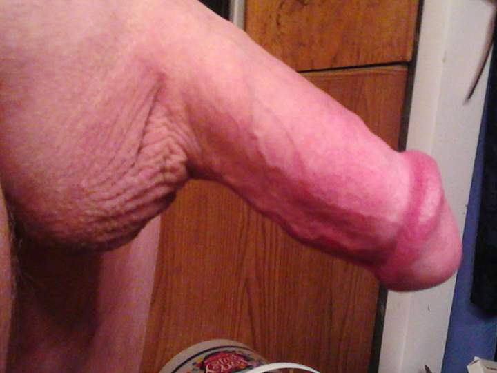 Adult image from fish4free