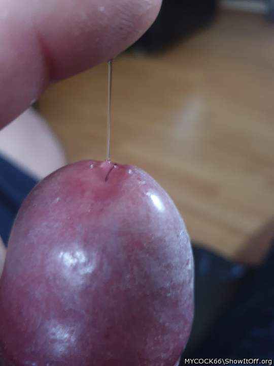 Adult image from MYCOCK66