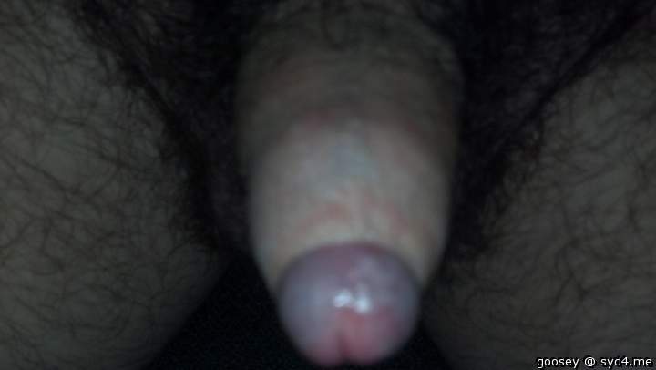 Adult image from Goosey