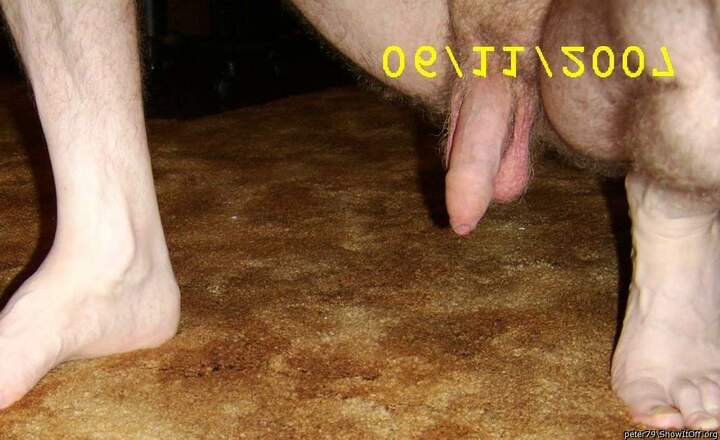 Adult image from peter79