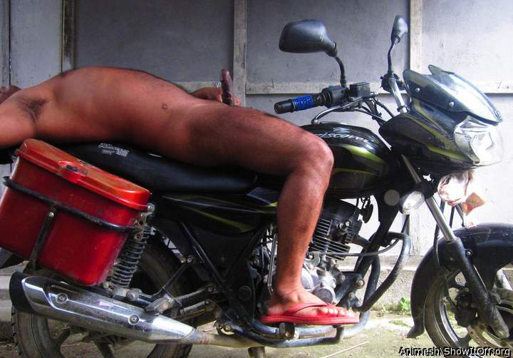 Adult image from Animesh
