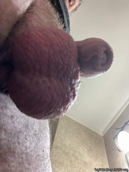 Adult image from Pg789