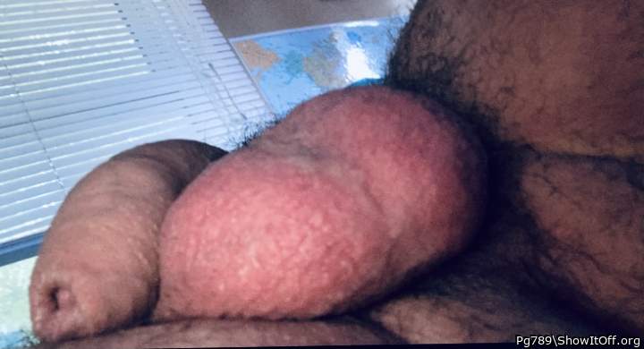Adult image from Pg789